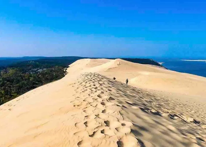 Cosy Flat 2 Steps From The Port 4pers Appartement Gujan-Mestras